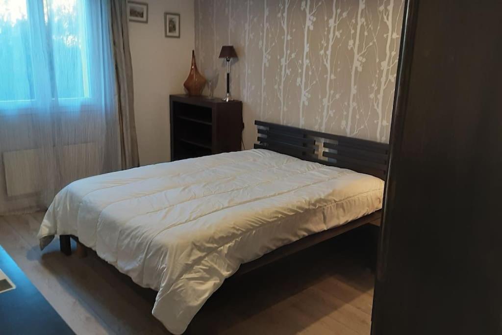 شقة Grand T1 Meuble سانت فلور المظهر الخارجي الصورة